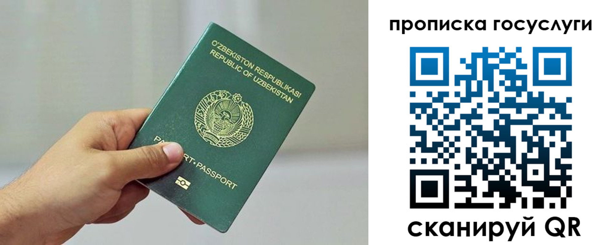 временная регистрация адрес в Петропавловске-Камчатском